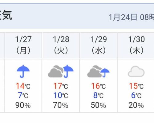 甘い人気の苺はお天気次第